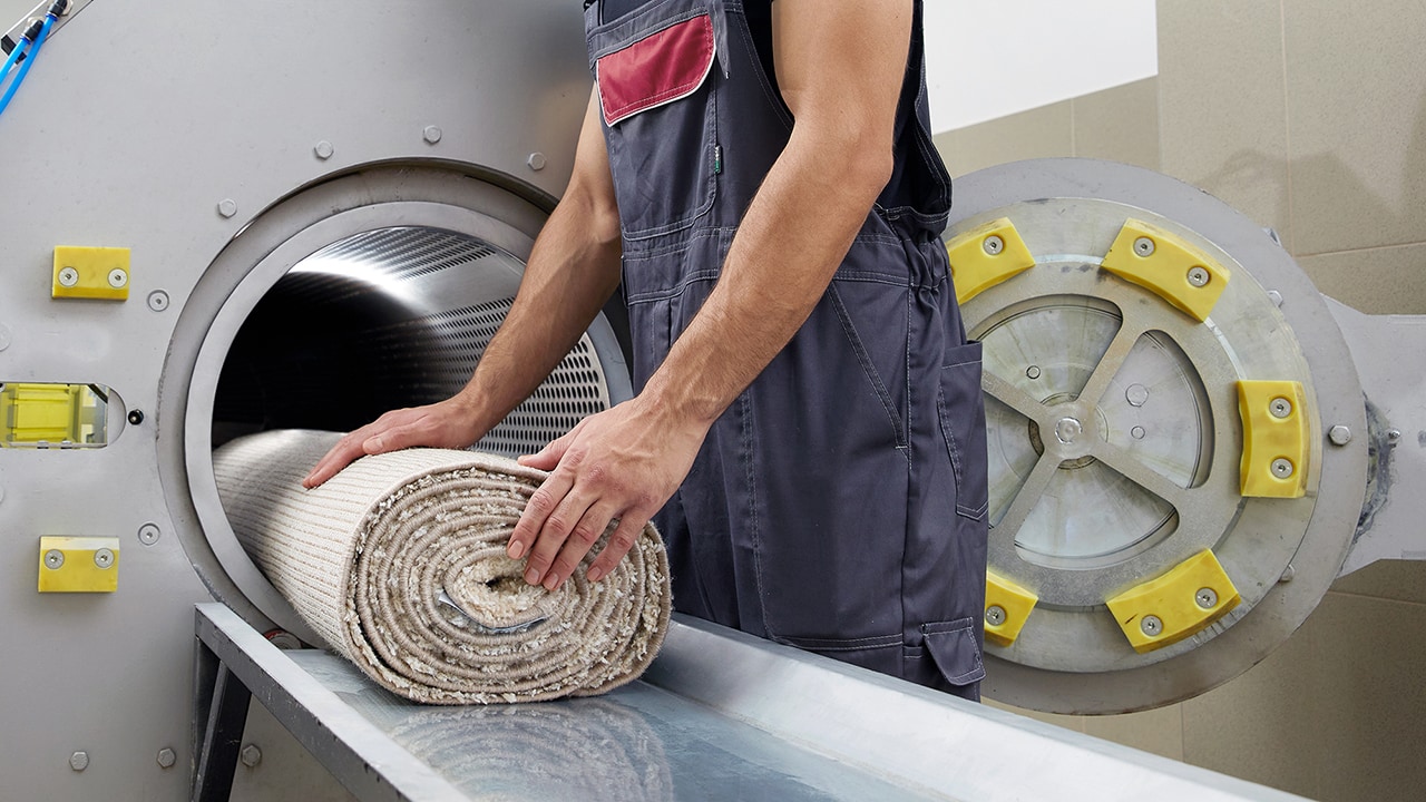 Covor introdus în mașina de stoarcere